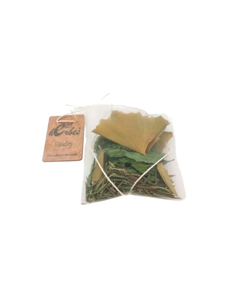 Ecoherbes ECO Dry Peppermint Infusion (10 PCs)