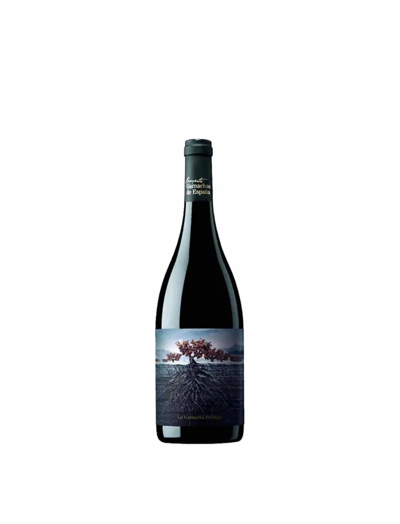 Lost Grenache of the Pyrenees 2017 - 75 cl