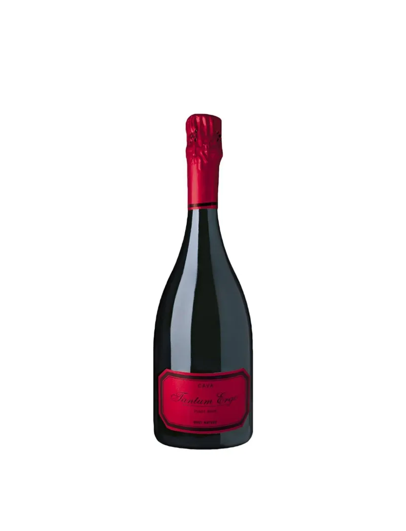 Cava Tantum Ergo Chardonnay-Pinot Noir 2018 Rosé